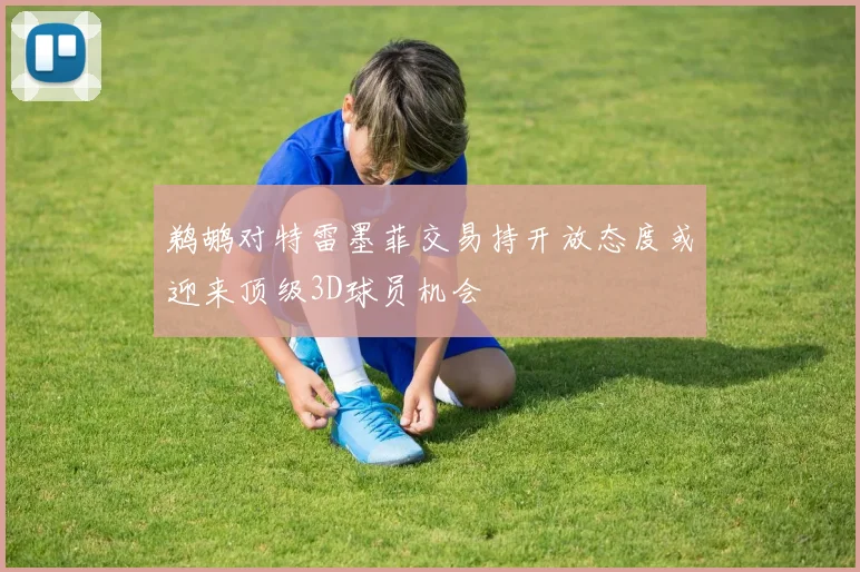 鹈鹕对特雷墨菲交易持开放态度或迎来顶级3D球员机会