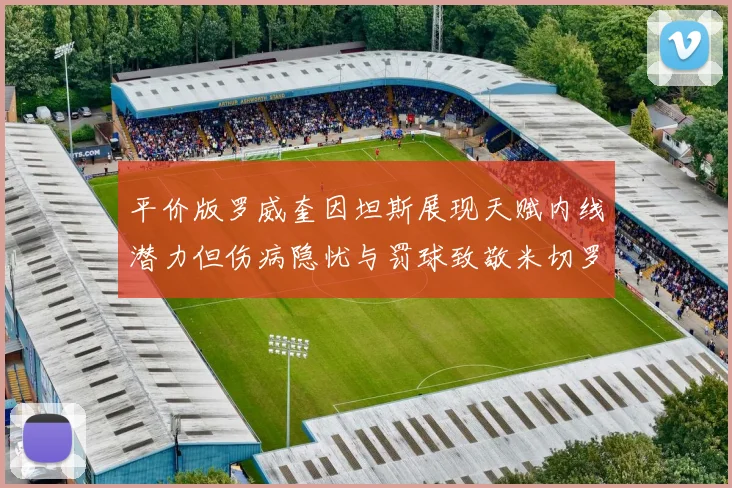 平价版罗威奎因坦斯展现天赋内线潜力但伤病隐忧与罚球致敬米切罗