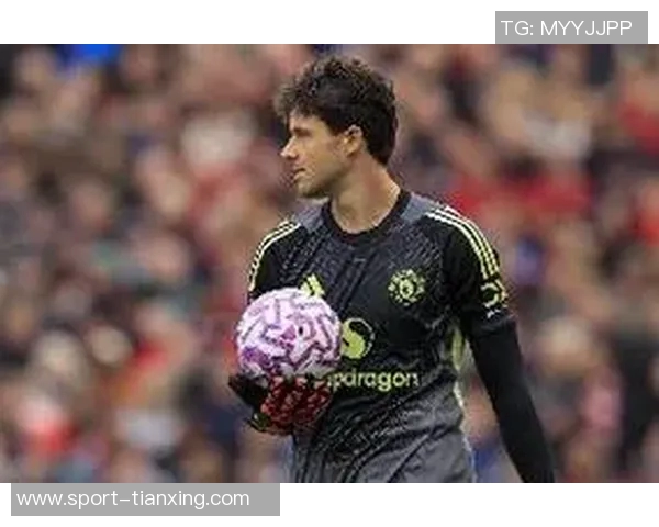 费迪南德称赞拉门斯稳定表现提升全队信心助力战胜桑德兰 费迪南德称赞拉门斯稳定表现提升全队信心助力战胜桑德兰